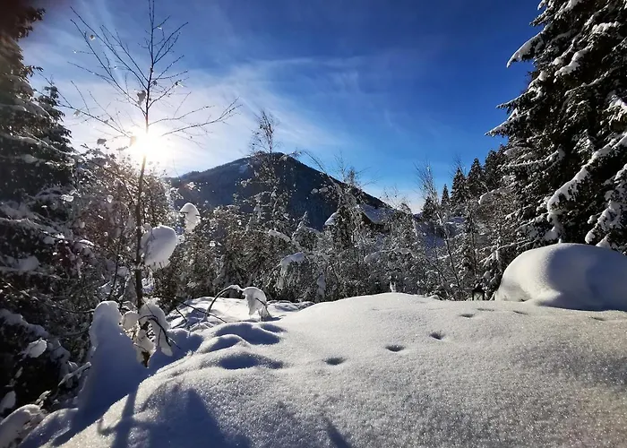 Caprea Domek alpejski Bad Kleinkirchheim
