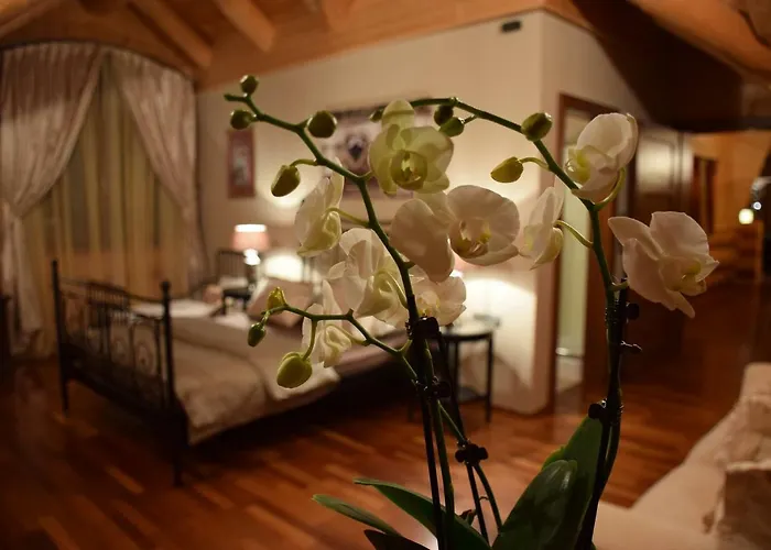 Domek alpejski Caprea Bad Kleinkirchheim