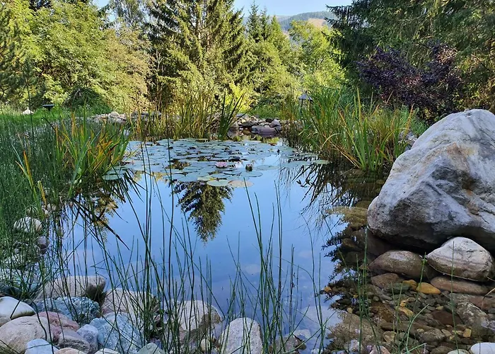 Domek alpejski Caprea Bad Kleinkirchheim